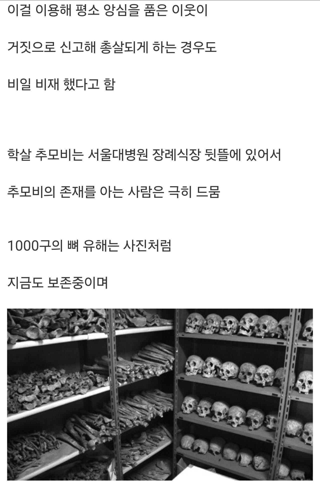 서울대학교 학살 사건