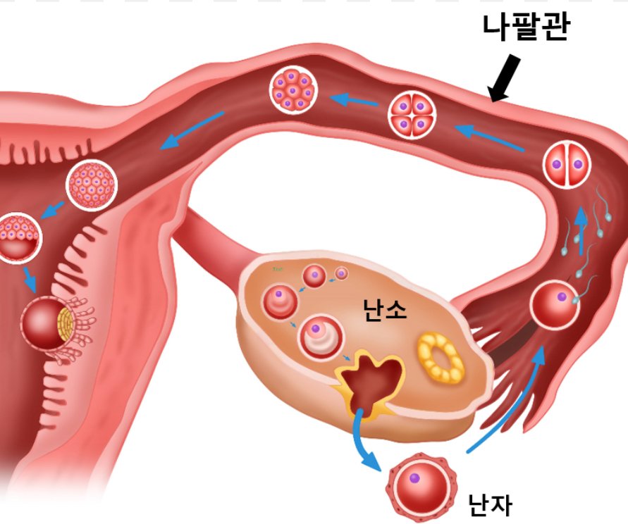 자궁 깊숙히 박히는 노래