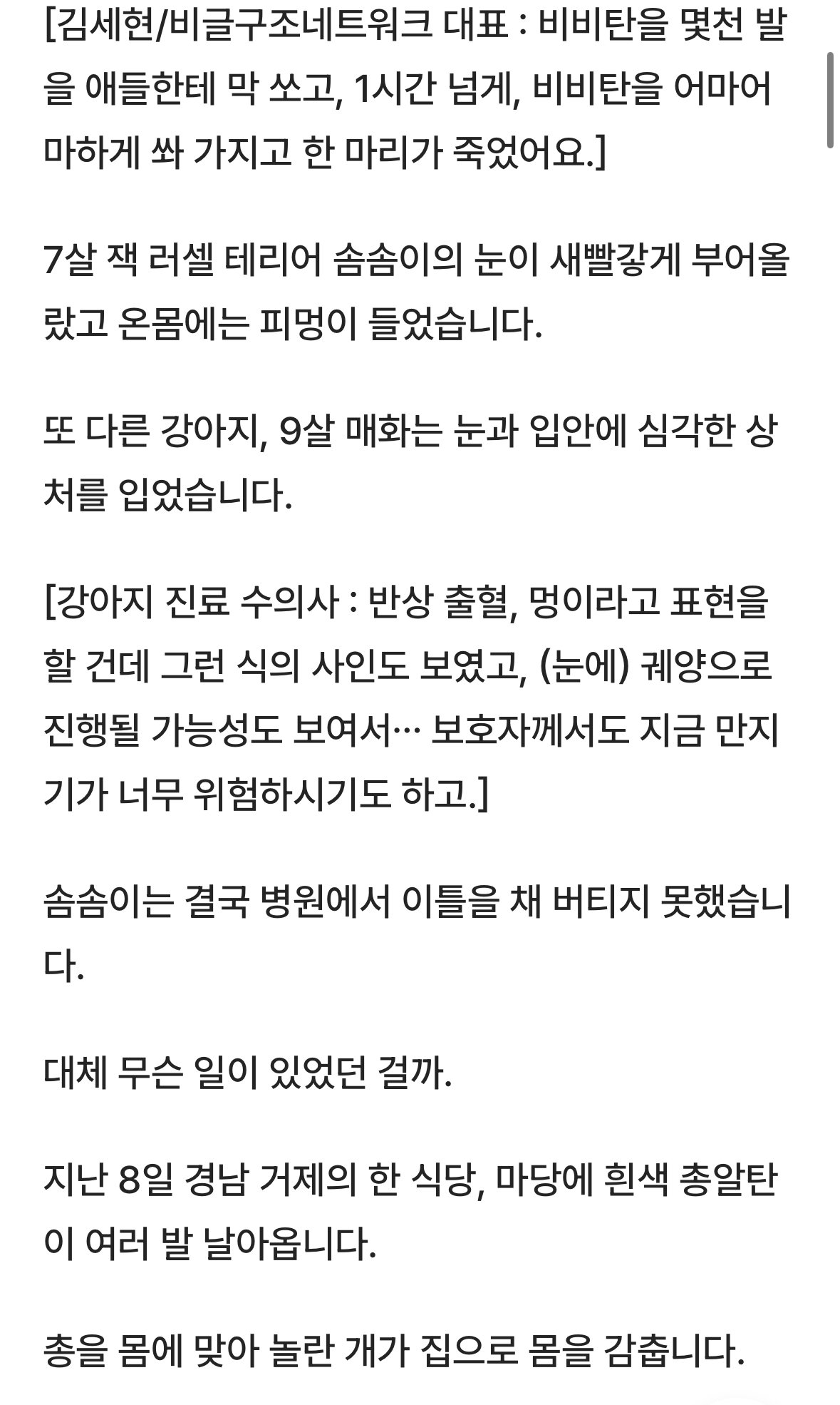 [단독] '비비탄' 수백발에 숨진 노견…가해자는 현역군인 포함 3명
