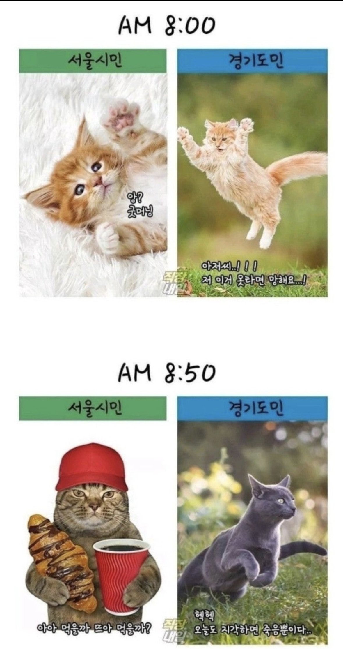 서울시민vs경기도민 출퇴근 차이