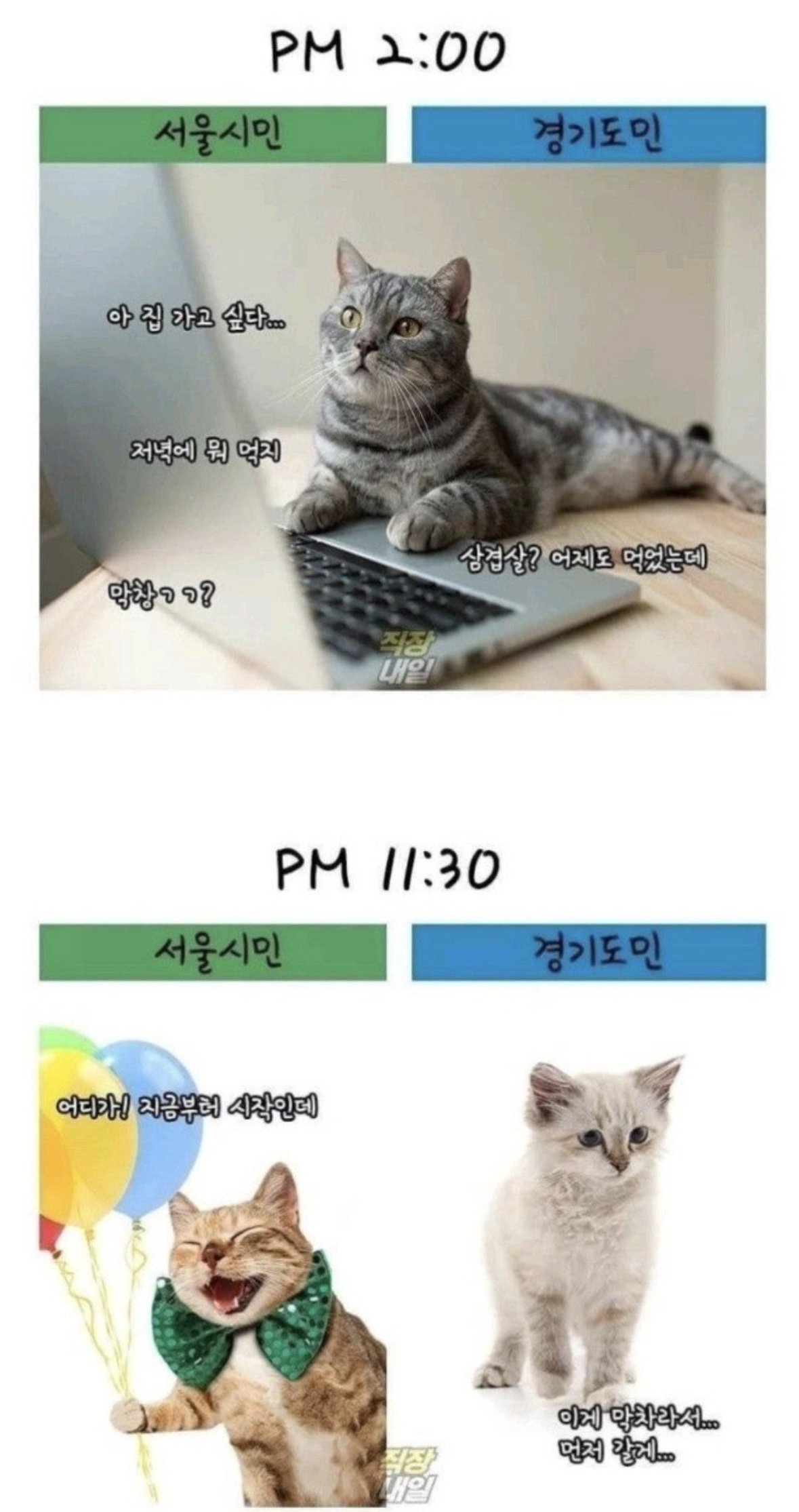 서울시민vs경기도민 출퇴근 차이