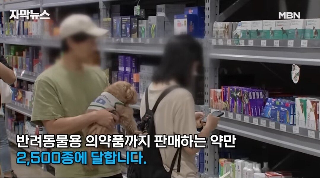 '창고형 약국' 인기에 약사들 반발