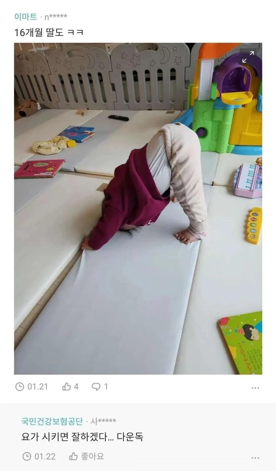 특정 나이대 애기들이 한다는 그 자세