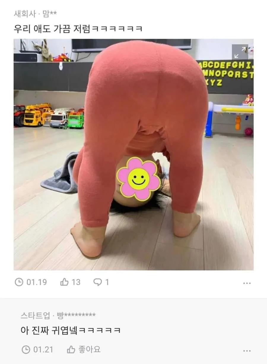 특정 나이대 애기들이 한다는 그 자세
