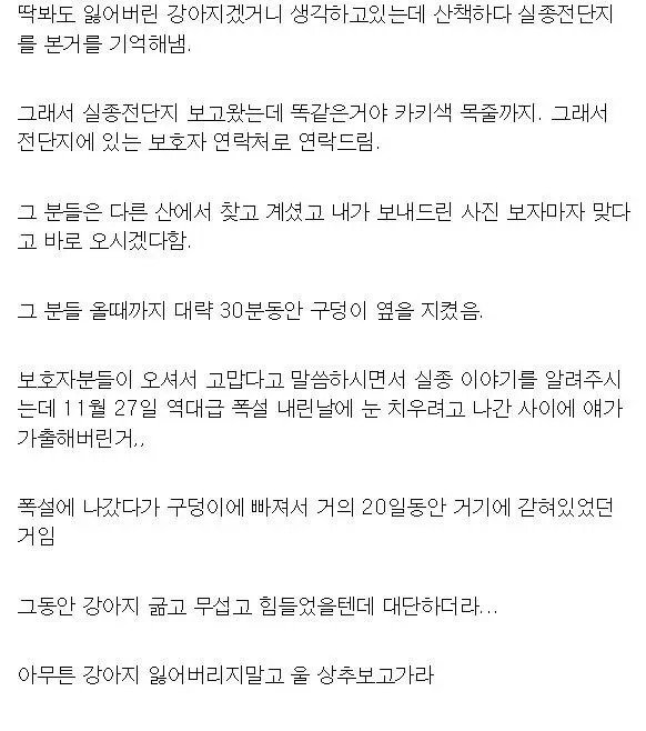 20일 동안 실종된 개를 구조한 강아지