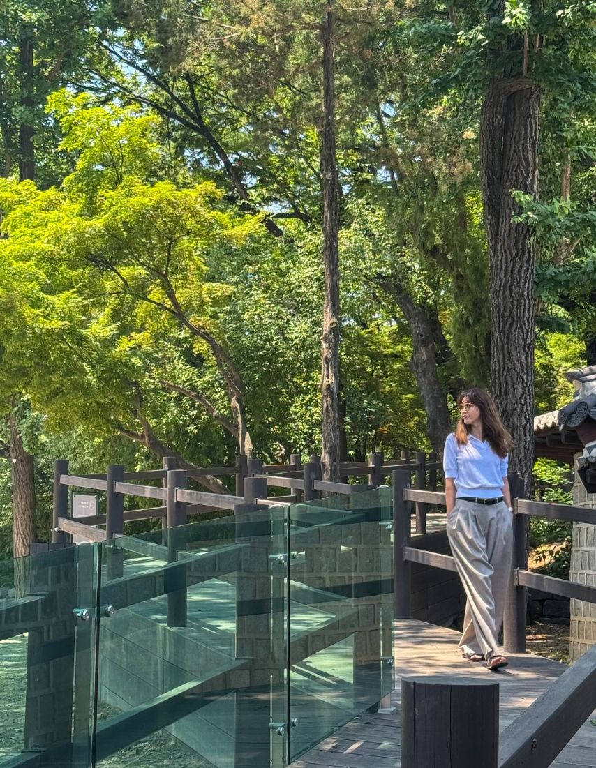 채정안 SNS