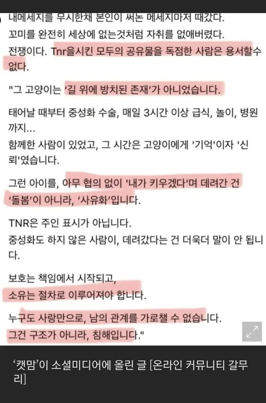 길고양이 입양했는데...캣맘 "모두의 공유물 독점, 용서불가"