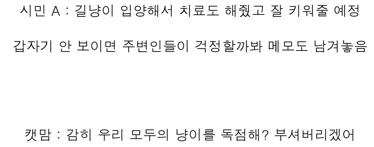 길고양이 입양했는데...캣맘 "모두의 공유물 독점, 용서불가"