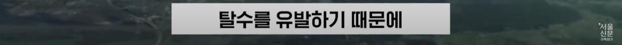 극한직업이라는 B-2 스텔스기 조종사