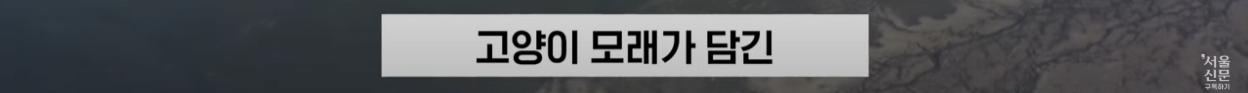 극한직업이라는 B-2 스텔스기 조종사