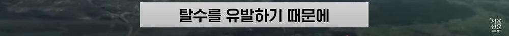 극한직업이라는 B-2 스텔스기 조종사