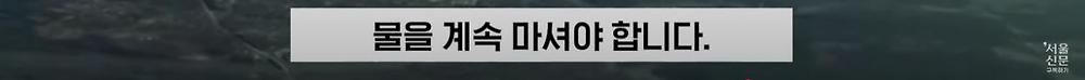 극한직업이라는 B-2 스텔스기 조종사
