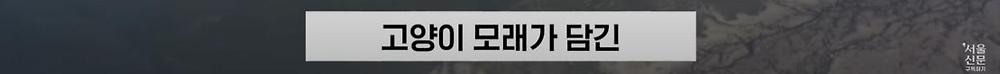 극한직업이라는 B-2 스텔스기 조종사
