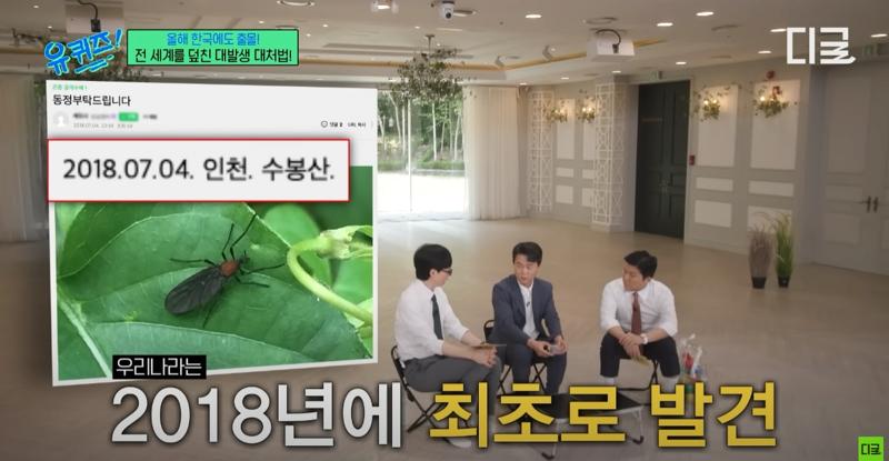 러브버그 원산지 떳다 ㄷㄷ