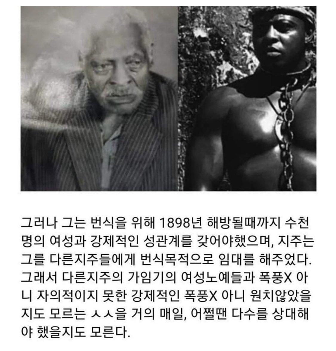 지금은 사라진 번식노예
