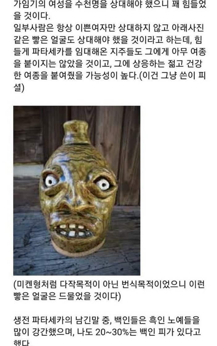 지금은 사라진 번식노예