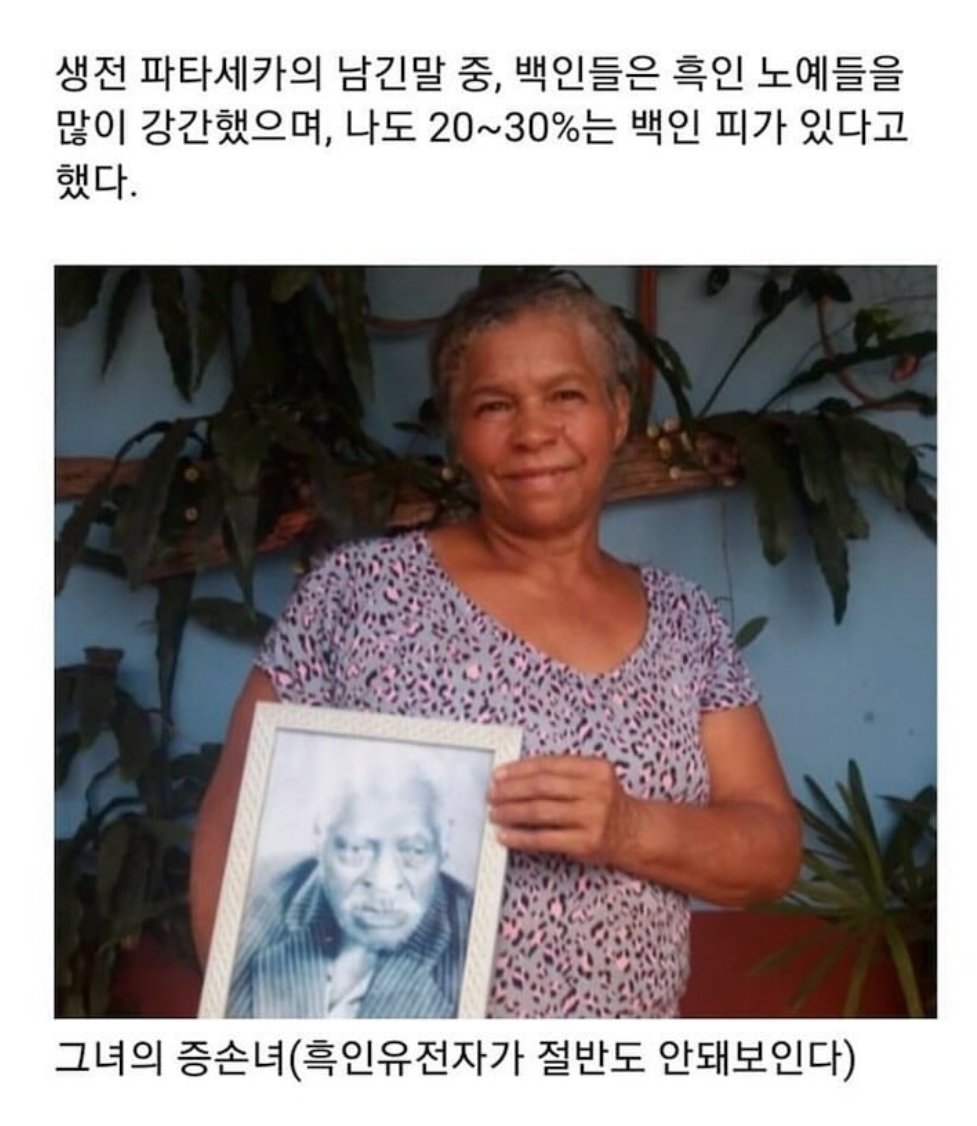 지금은 사라진 번식노예