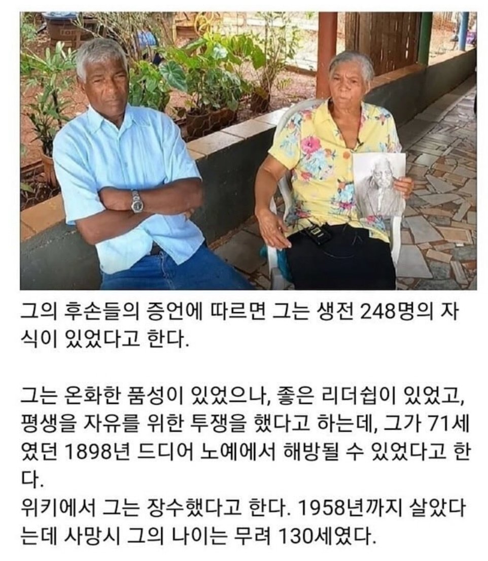 지금은 사라진 번식노예