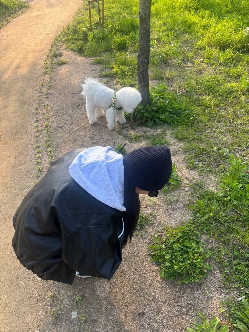 정채연 인별
