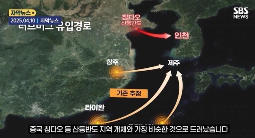 올해 러브버그 ㅈㄴ 보이는 이유