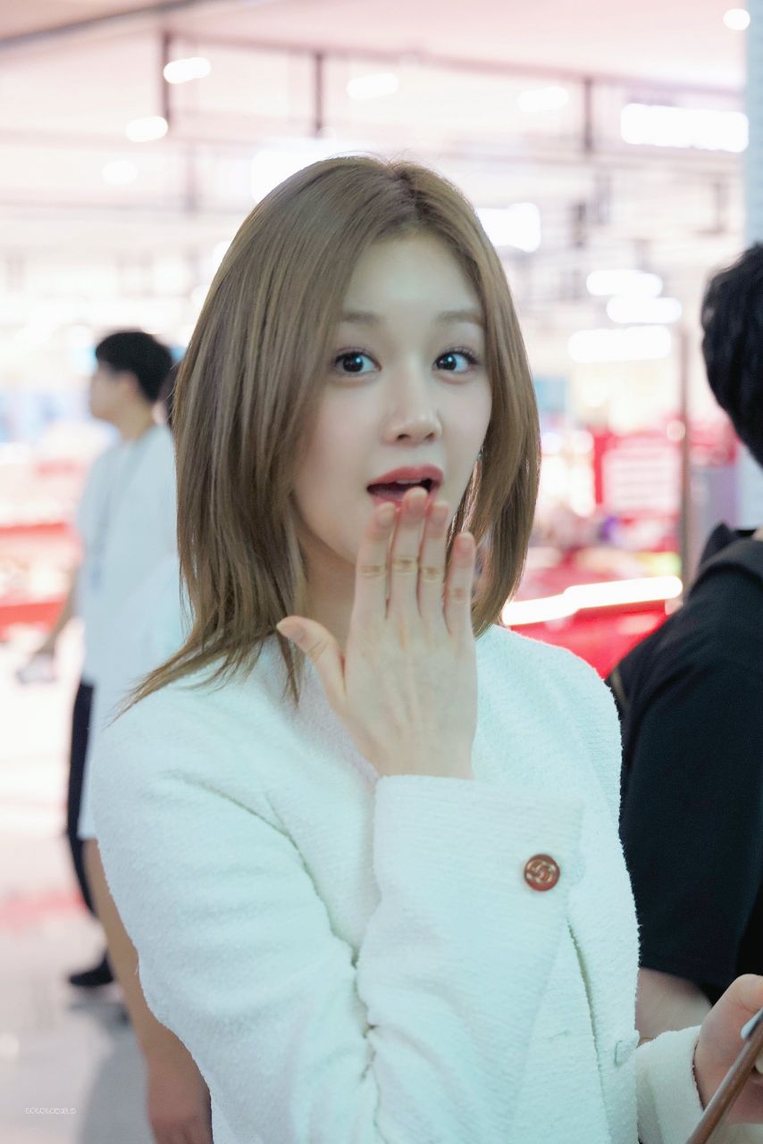 베이비몬스터 파리타