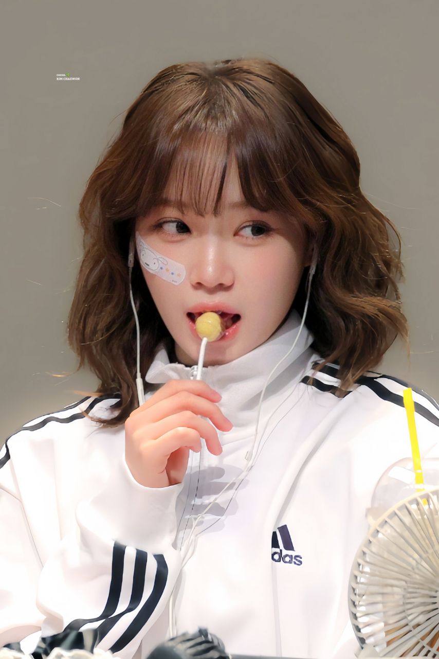 르세라핌 김채원