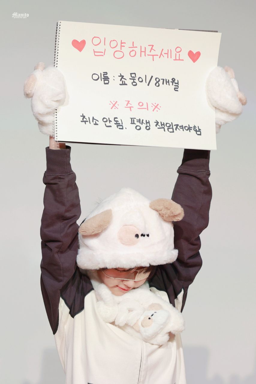 QWER 쵸단 분양 완료