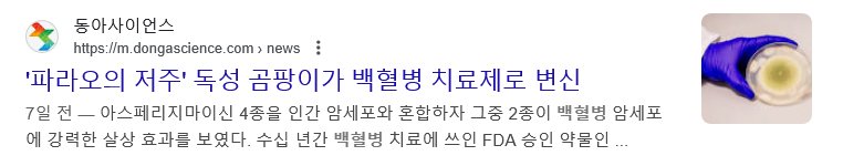 이집트 파라오 최신 근황