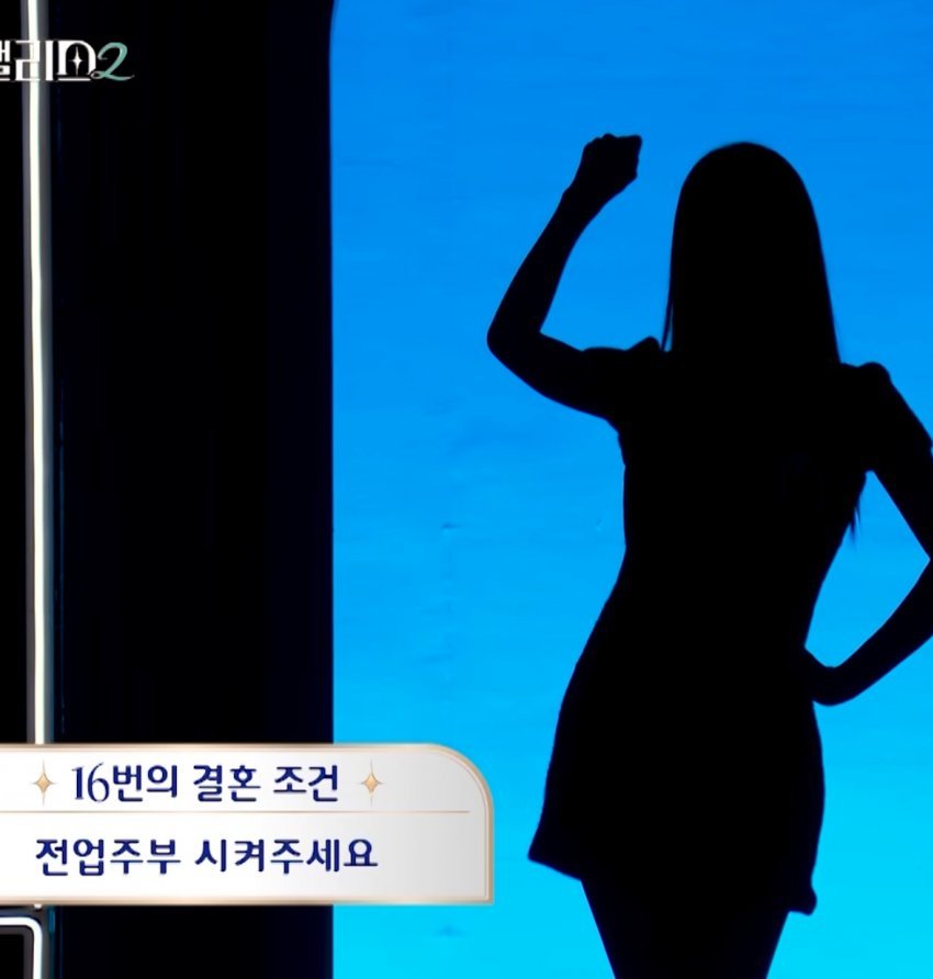 어떤 여자가 연애 프로그램에서 밝힌 결혼 조건