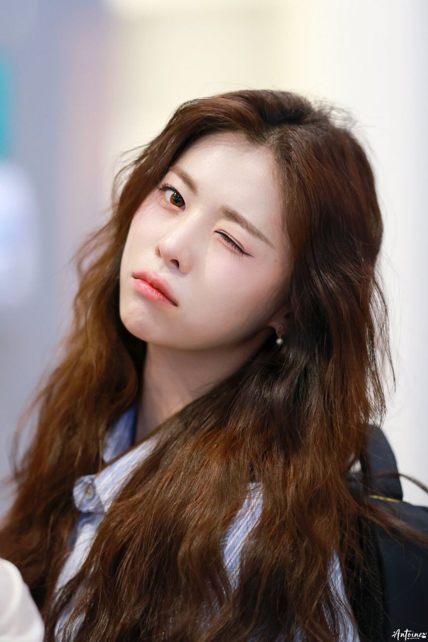 트리플에스 다현