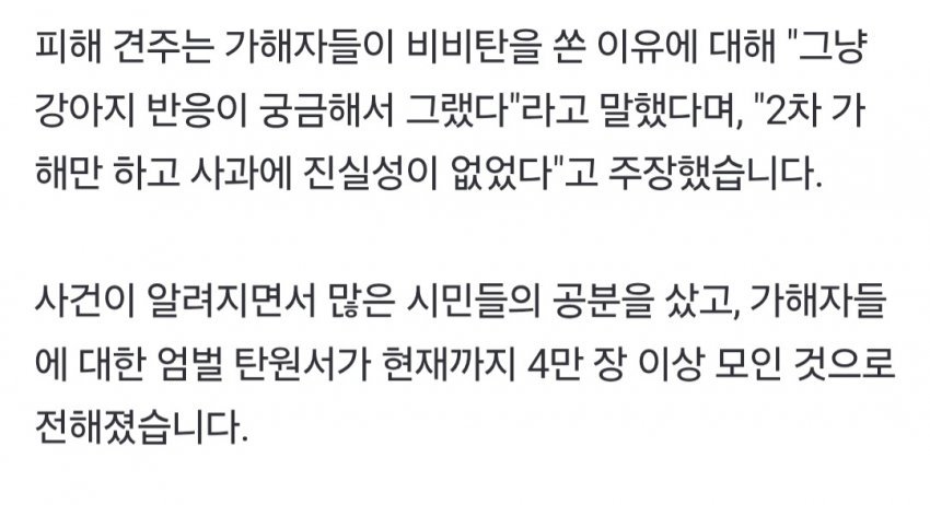 해병대한테 비비탄 총 맞았던 강아지 근황
