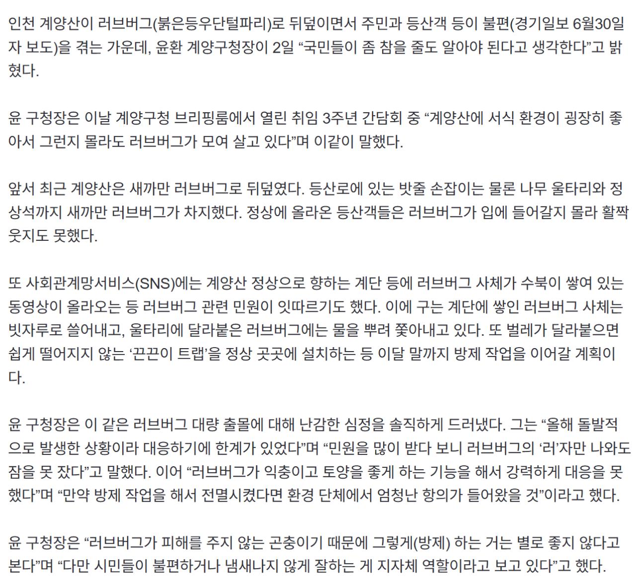 ‘계양산 러브버그’ 난리에…윤환 구청장 “참을 줄 알아야”
