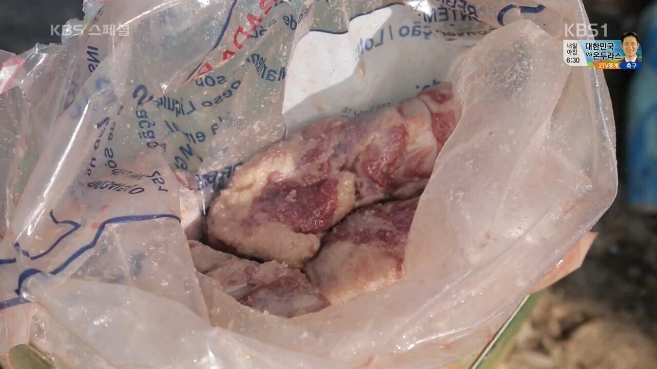 쓰레기 매립지에서 먹을것 구하는 브라질 빈민들