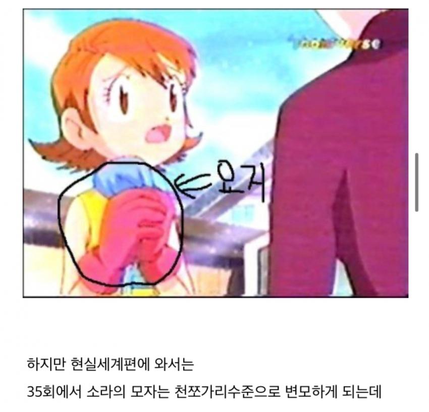 디지몬 소라 모자 관련 논란