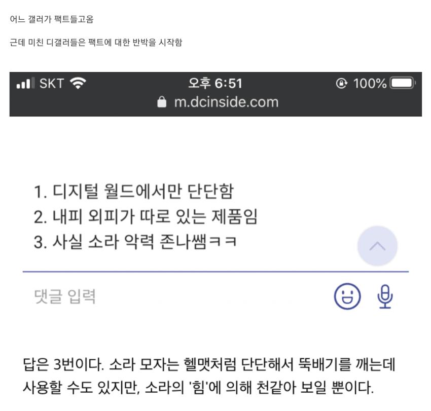 디지몬 소라 모자 관련 논란