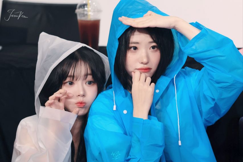 [QWER] 쵸단&히나