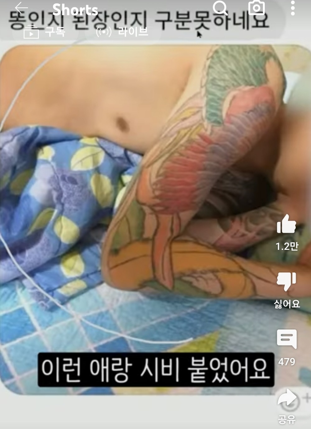 이레즈미 전신 문신충이 격투기 선수보다 더 무섭게 느껴지는 이유...