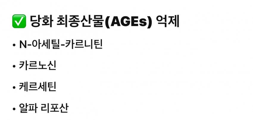 특이점 노인이 먹는 영양제 목록