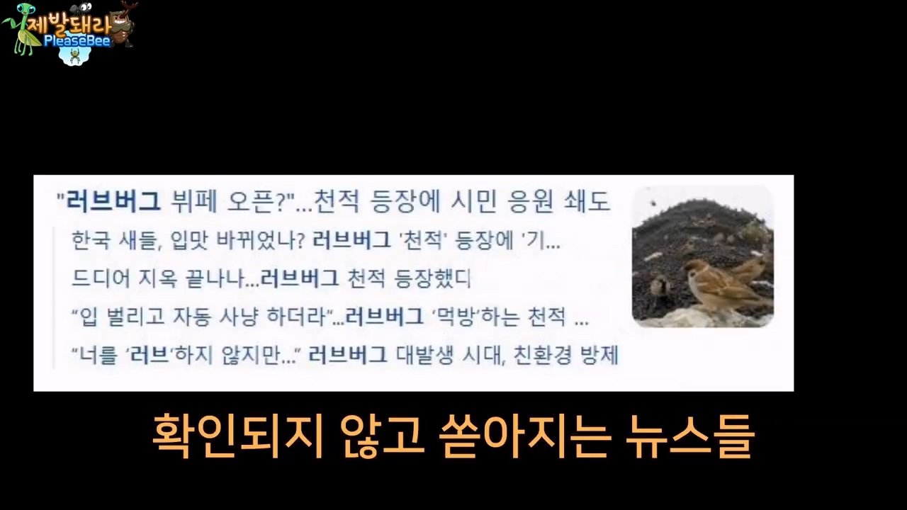 정말 참새가 러브버그를 먹을까? 논란의 종지부