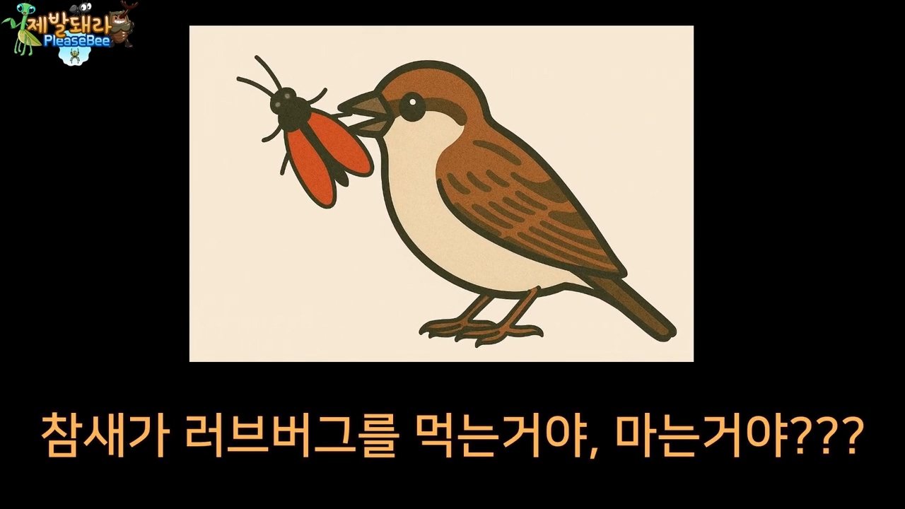 정말 참새가 러브버그를 먹을까? 논란의 종지부