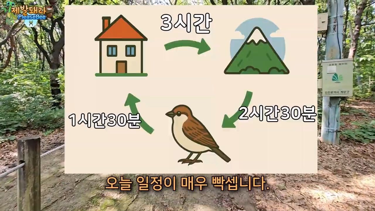 정말 참새가 러브버그를 먹을까? 논란의 종지부