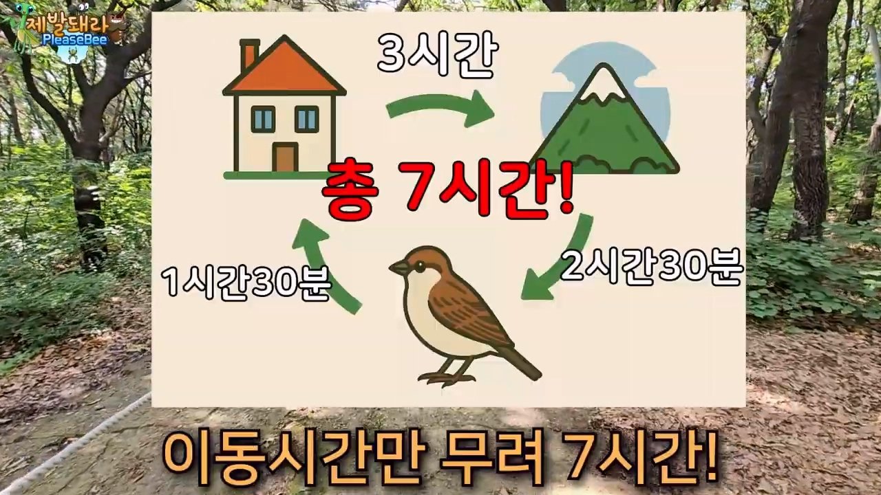 정말 참새가 러브버그를 먹을까? 논란의 종지부