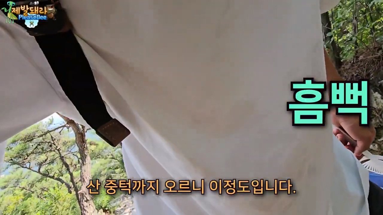 정말 참새가 러브버그를 먹을까? 논란의 종지부