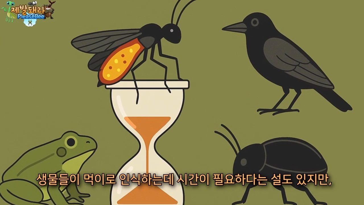 정말 참새가 러브버그를 먹을까? 논란의 종지부