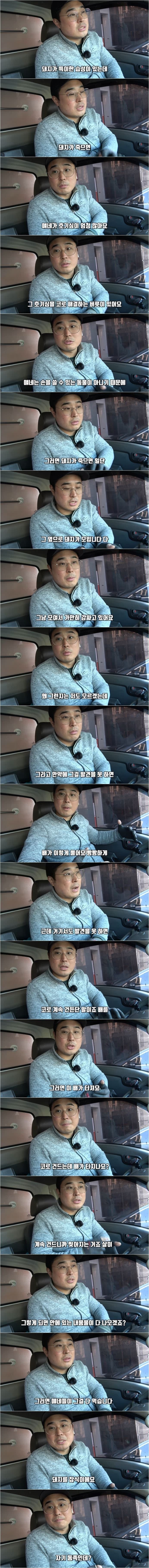 오싹오싹 돼지농장..