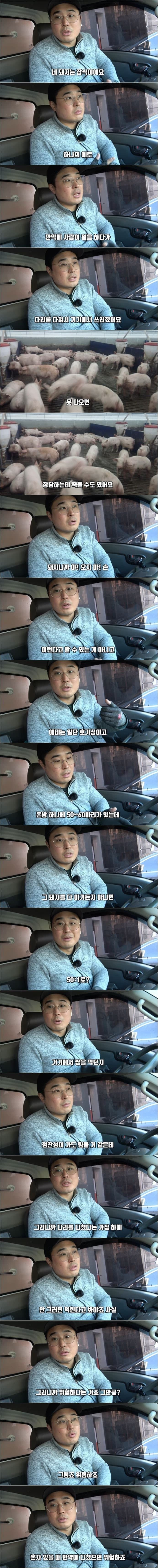 오싹오싹 돼지농장..