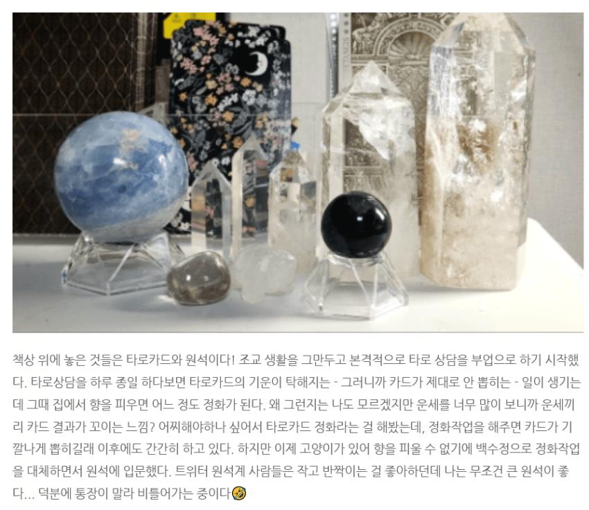 숙명여대 4B(비연애 비섹스 비혼 비출산)좌....최신 근황