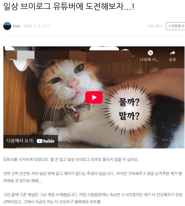 숙명여대 4B(비연애 비섹스 비혼 비출산)좌....최신 근황