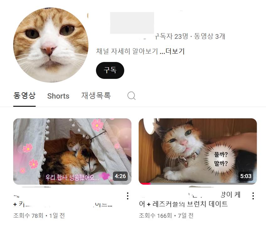 숙명여대 4B(비연애 비섹스 비혼 비출산)좌....최신 근황