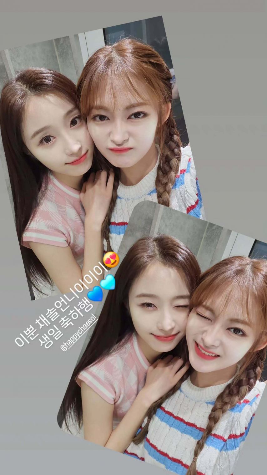시그니처 채솔, 세미